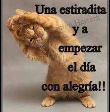 150 Ideas De Gifs Emoticonos Divertidos Emojis Emoticonos Imagenes De Emoji