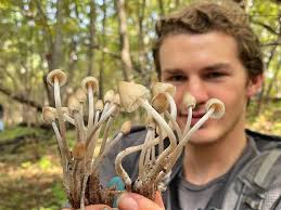 ✨🍄 #ThrowbackThursday 🍄✨ Last fall was packed with so many wonderful  things, and we're missing days spent outside learning together. Today,  we're thinking back to warmer times and this mushroom foray at