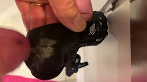 Branle Sur Culotte Copine