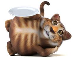 Khedi Kedi Hekimligi Dernegi