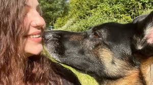 Fundraiser by Sophia Moore : Urgent MRI Needed for Mako's Health