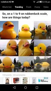 Pin By Rk S Fandoms On Funny Rubber Duck Duck Memes Funny Duck