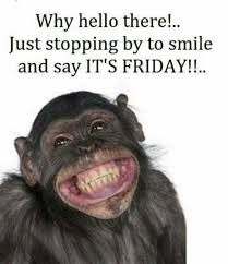 We did not find results for: Its Friday Memes Funny