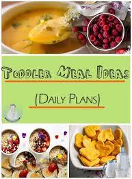 Is your baby ready to enter the amazing world of solid foods? Toddler Meal Ideas Daily Plans