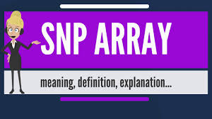 A pandas dataframe of the genotype data. What Is Snp Array What Does Snp Array Mean Snp Array Meaning Definition Explanation Youtube
