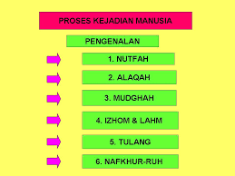 Kemudian manusia berpindah dari fase ini dan kembali menuju kelemahan, beruban, dan kepikunan. Proses Kejadian Manusia Melalui Perbandingan Al Quran Dan Sains Moden