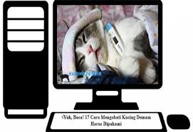 Peningkatan suhu tubuh di atas normal disebut hipertermia. Yuk Baca 17 Cara Mengobati Kucing Demam Harus Dipahami