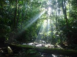 10 tempat dengan fenomena alam paling luar biasa dan langka di dunia. Penduduk Malaysia Manakah Kesedaran Anda Menjaga Alam Sekitar