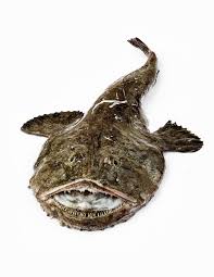 La Baudroie Gerald Passedat Le Petit Nice Poisson Mediterranee C Richardhaughton Baudroie Poisson Produits De La Mer