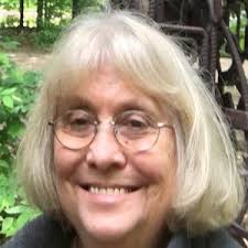 Michigan Legacy Art Park Seeks New Board of Directors-Dynamos