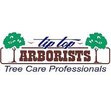 Yp.com local search connects you with over 19 million local businesses. Meet Our Team Staff Profiles Tip Top Arborists
