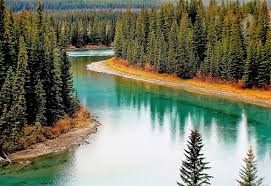 Foto acerca paisaje escénico de la naturaleza con rocky mountains y el glaciar de athabasca, columbia icefield jasper national park canadá. Los Asombrosos Paisajes De Banff El Parque Nacional Mas Antiguo De Canada