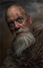 Merlin falcon portrait--Long Island, NY*