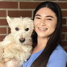 Meet Our Team at Westfield Animal Hospital