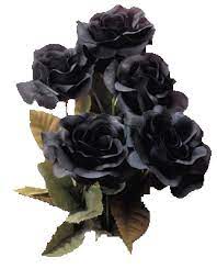 01 Fekete Rozsa Png 272 350 Black Rose Tattoos Black Rose Flower Black Rose