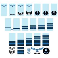 Indian Air Force Insignia Stock Vector Illustration Of