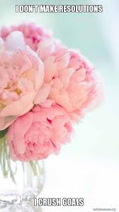 I Don T Make Resolutions I Crush Goals Make A Meme Flowers Pretty Flowers Beautiful Flowers