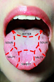 Bitter Taste In My Mouth After Waking Up Senses Taste Tesp American Heritage Girls The Potter S Hand Sensory