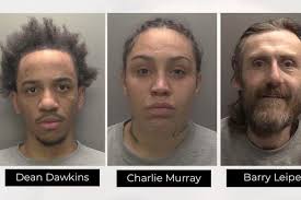 David Hunt: Teen found guilty of county lines murder jailed for life