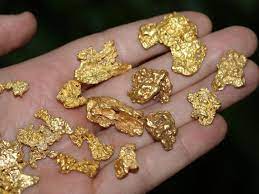 You can find gold with a metal detector, by charles garrett & roy lagal; Metal Detect The Fringe Spots To Find More Gold Nuggets How To Find Gold Nuggets