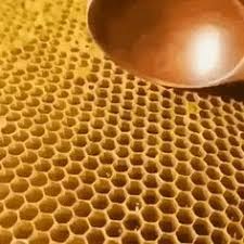 Spoonful Of Honey Workout Food Honey Lover Nutrition Recipes
