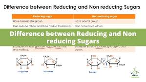 Spoiler Q: Worth Memorizing The Structures Of Disacharides (Besides Sucrose  Lactose) : R/Mcat