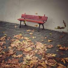 Sonbahar Geldi Gunaydin Foto Elfkrb Rize Kalkandere Trabzon Ordu Giresun Samsun Bolu Sakarya Gumushane Art In 2020 Outdoor Decor Outdoor Furniture Outdoor