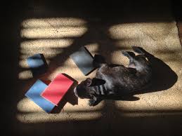 I haven't got any warts on me. The Paris Review A Rare Look Inside The Library At Grey Gardens