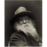 Literary Analysis Of Walt Whitman Poems I Hear America Singing And Beat Beat Drums Walt Whitman Whitman Poems Walt Whitman Poems