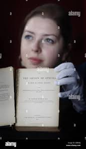 Origin of species darwin auction hi-res stock photography and images