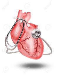 Download stethoscope heart stock photos. Healthy Heart With Stethoscope On White Background Use For Heart Stock Photo Picture And Royalty Free Image Image 21935506