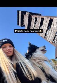 Svoboda a různorodost v pohybu je mnohem smysluplnější ❤️ #balanc #vyslap  #pes #bordercollie