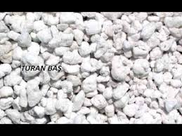Perlit Nedir Was Ist Perlit What Is Perlite Bitki Bahce Fikirleri Cicek