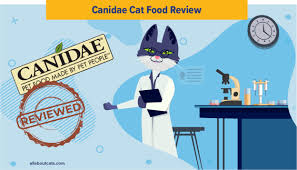 Shop all open farm dog & cat food online at low prices. Unbiased Canidae Cat Food Review 2021 We Re All About Cats