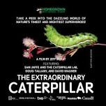 Movie Night: The Extraordinary Caterpillar