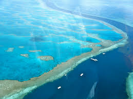 Check spelling or type a new query. Why The Great Barrier Reef Is Dying And Why We Should Care