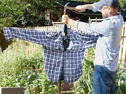 Maybe you would like to learn more about one of these? How To Make A Scarecrow For Your Garden Hgtv