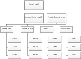 Organizational Chart It Living Lab