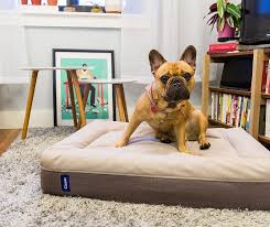 Casper Dog Mattress