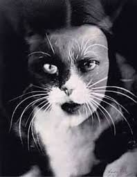 Cat And I Man Ray Man Ray Photos Man Ray Photography