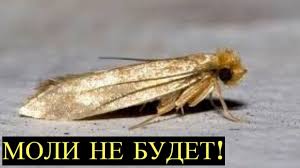 pin na doske cennaya informaciya