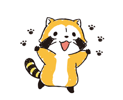 Pin On Red Panda