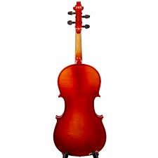 Image result for Viola eminii