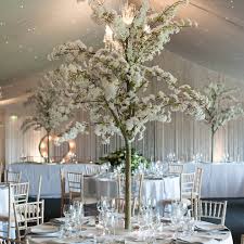 White tree wedding productions is at the forefront of modern videography. White Blossom Trees Are Surrounded By Candles For A Stunning Wedding Table Centrepiece I Blossom Tree Wedding Wedding Tree Decorations Tree Centrepiece Wedding