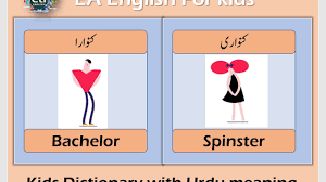 One is that you can't be married, and the other is that you have to be a man. Bachelor Meaning In Urdu Hindi Definition Pronounce Pronunciation Of Picture Dictionary Youtube