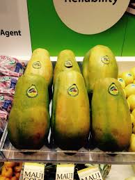 Maradol Papaya Fruterias