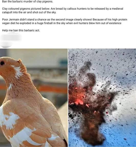 Poor Clay Pigeons 😆 : r/ClayBusters