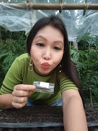 Good morning ❣️ Greetings from Philippines .. happy and blessed Sunday  Everyone❣️ # Mayanalovers ..🌺🌺