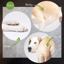 Skeido dog feeding mat cute paw pet cat feeding pad pet dish bowl food feed placemat bed blanket table mat easy wipe cleaning 26x45cm. Unscented Deodorizing Grooming Wipes For Paws Doggie Wipes Measure 8 X 8 Inches 100 Hypoallergenic Pet Wipes For Dogs Cats Body And Butt Earth Rated Usda Certified 99 Percent Biobased Dog Wipes