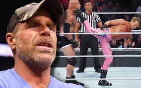 Get in touch with sean tan (@seantan916) — 682 answers, 1491 likes. Shawn Michaels On Wwe S Recent Leg Slapping Ban